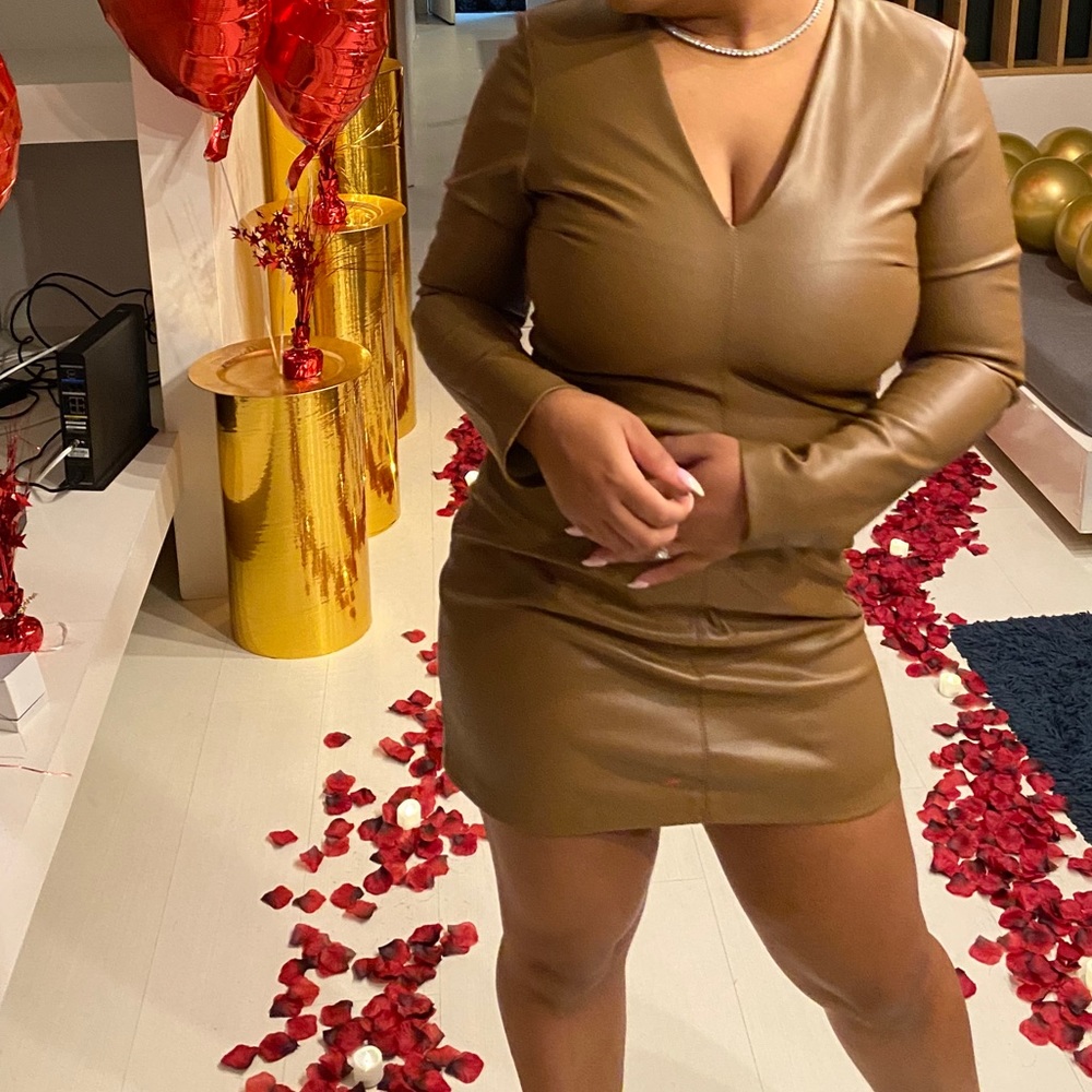 Zara leather dress